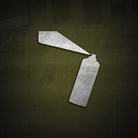Трофей {trophy} в игре Train Sim World 2 для PS5