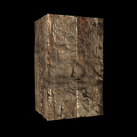 Достижение Deliver Void Chest to Mugen. в игре Animus: Revenant для Xbox One