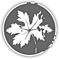 Трофей {trophy} в игре A Plague Tale: Innocence для PS4