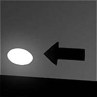 Трофей {trophy} в игре Limbo для PS3