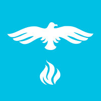 Достижение Phoenix в игре Football Manager Touch 2018 для Google Play