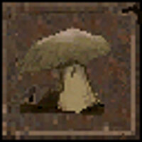 Достижение Boletus в игре HROT для GOG
