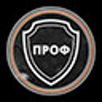 Достижение Professional в игре Metro Exodus для GOG