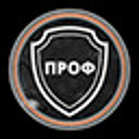 Достижение Профессионал в игре Metro Exodus для Steam