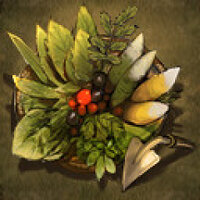Достижение Path of the Expert Forager в игре Lost Ark для Steam