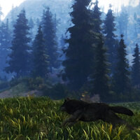 Достижение Not Afraid Of The Big Bad Wolf в игре Open Country для Xbox One