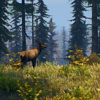Достижение All Autumn Animals…Check в игре Open Country для Xbox One