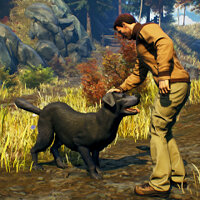 Достижение Best Friend в игре Open Country для Xbox One