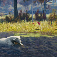 Достижение Good Boy! в игре Open Country для Xbox One