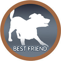 Трофей {trophy} в игре Open Country для PS4