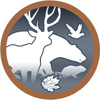 Трофей {trophy} в игре Open Country для PS4