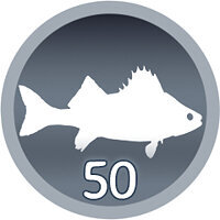 Трофей {trophy} в игре Open Country для PS4