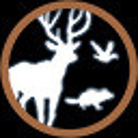 Достижение Собери их всех: осенние животные в игре Open Country для Steam