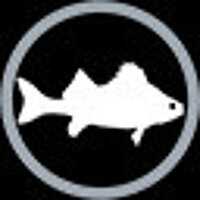 Достижение Опытный рыболов в игре Open Country для Steam