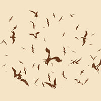 Достижение Have you ever seen so many seagulls? в игре Stranded Deep для Xbox One