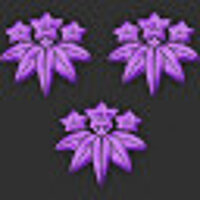 Достижение Величайший сёгун в игре Stronghold: Warlords для Steam