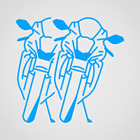 Трофей {trophy} в игре Ride 4 для PS4