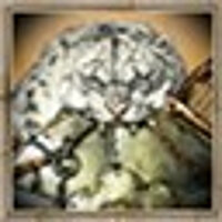 Достижение Svarog the Mighty в игре Mount & Blade: Warband для Steam