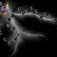 Достижение With a Single Step в игре Tetris Effect для Windows 10, Xbox One, Xbox Series