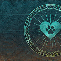 Достижение Pat the Cats в игре Assassin's Creed Valhalla для Xbox One, Xbox Series