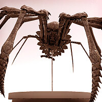 Трофей «Armor Spider's Trophy» в игре Demon's Souls (2009) для PS3