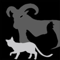 Трофей {trophy} в игре Wasteland 3 для PS4