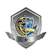 Трофей {trophy} в игре Captain Tsubasa: Rise of New Champions для PS4