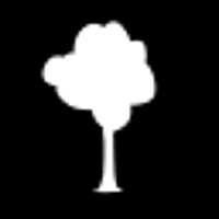Достижение Rooted in The Past в игре The Past Within для GOG