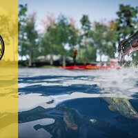 Достижение Много бассов! в игре Fishing Sim World: Pro Tour для Windows 10
