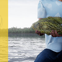 Достижение Рыба Инь в игре Fishing Sim World: Pro Tour для Windows 10
