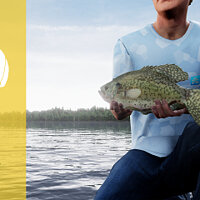 Достижение Рыба Ян в игре Fishing Sim World: Pro Tour для Windows 10