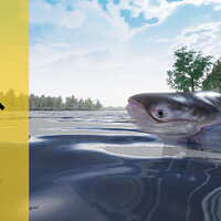 Достижение Любопытный Толстый сом в игре Fishing Sim World: Pro Tour для Windows 10