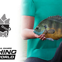 Достижение Мультирыбалка в игре Fishing Sim World: Pro Tour для Windows 10