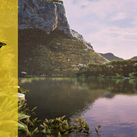 Достижение Абсолютная гибкость в игре Fishing Sim World: Pro Tour для Windows 10