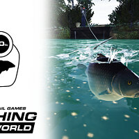 Достижение Увесистый карп в игре Fishing Sim World: Pro Tour для Windows 10