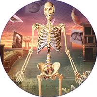Достижение A Skeleton in the Closet в игре Mushroom Age для Google Play