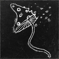 Трофей {trophy} в игре Darkwood для PS4