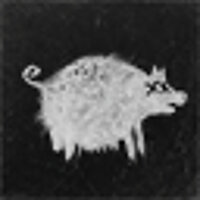 Достижение Kill the pig... в игре Darkwood для GOG