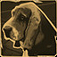 Достижение Dog-fancier в игре Sherlock Holmes: Crimes and Punishments для GOG