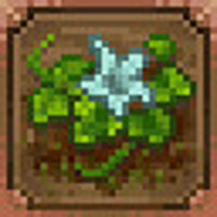 Достижение Даже здесь в игре Graveyard Keeper для Steam