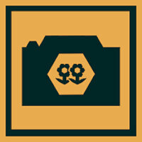 Трофей {trophy} в игре Lonely Mountains: Downhill для PS4