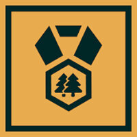 Трофей {trophy} в игре Lonely Mountains: Downhill для PS4