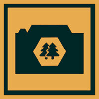 Трофей {trophy} в игре Lonely Mountains: Downhill для PS4