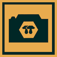 Трофей {trophy} в игре Lonely Mountains: Downhill для PS4