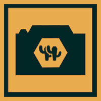 Трофей {trophy} в игре Lonely Mountains: Downhill для PS4