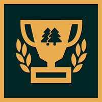 Достижение Катайся ночь напролет в игре Lonely Mountains: Downhill для Steam