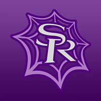 Достижение Saintified в игре Saints Row 4 для Windows 10