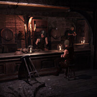 Достижение Трудяга в игре The Bard's Tale 4: Barrows Deep для Windows 10, Xbox One