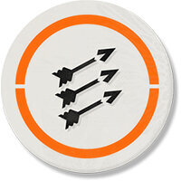 Трофей {trophy} в игре Tom Clancy's The Division 2 для PS4
