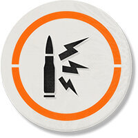 Трофей {trophy} в игре Tom Clancy's The Division 2 для PS4